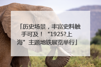 历史场景，丰富史料触手可及！“1925?上海”主题地铁展览举行