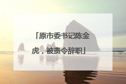原市委书记陈金虎，被责令辞职