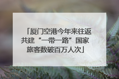 厦门空港今年来往返共建“一带一路”国家旅客数破百万人次
