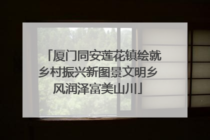 厦门同安莲花镇绘就乡村振兴新图景文明乡风润泽富美山川
