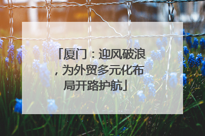 厦门：迎风破浪，为外贸多元化布局开路护航