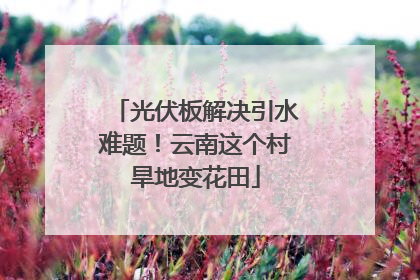 光伏板解决引水难题！云南这个村旱地变花田