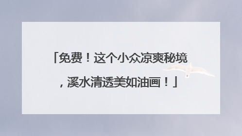 免费！这个小众凉爽秘境，溪水清透美如油画！