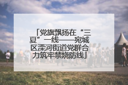 党旗飘扬在“三夏”一线——宛城区溧河街道党群合力筑牢禁烧防线