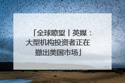全球瞭望丨英媒：大型机构投资者正在撤出美国市场