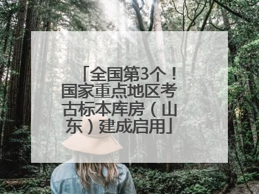 全国第3个！国家重点地区考古标本库房（山东）建成启用