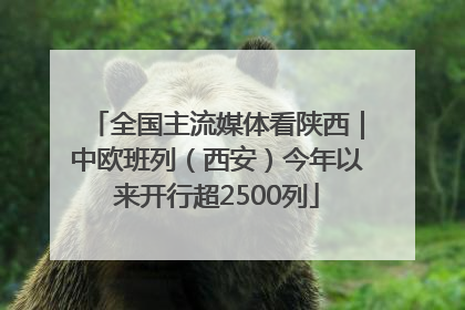 全国主流媒体看陕西｜中欧班列（西安）今年以来开行超2500列