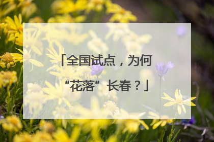 全国试点，为何“花落”长春？