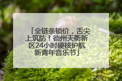 全链条锁价，舌尖上筑防！德州天衢新区24小时硬核护航新青年音乐节