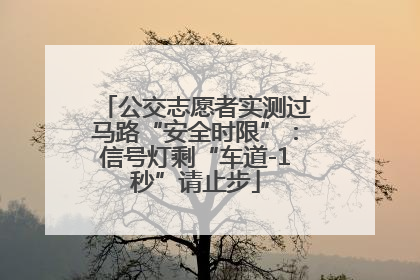 公交志愿者实测过马路“安全时限”：信号灯剩“车道-1秒”请止步