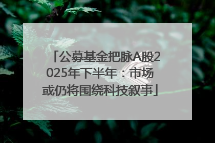 公募基金把脉A股2025年下半年：市场或仍将围绕科技叙事