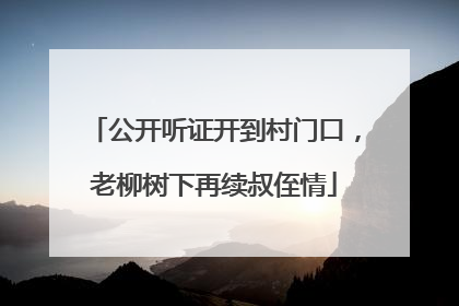 公开听证开到村门口，老柳树下再续叔侄情