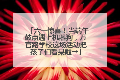 六一惊喜！当端午鼓点遇上机器狗，万官路学校这场活动把孩子们看呆啦→