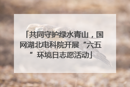 共同守护绿水青山，国网湖北电科院开展“六五”环境日志愿活动