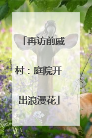 再访前戚村：庭院开出浪漫花