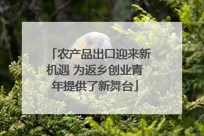 农产品出口迎来新机遇 为返乡创业青年提供了新舞台