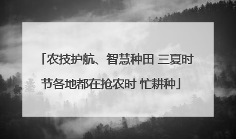 农技护航、智慧种田 三夏时节各地都在抢农时 忙耕种