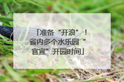 准备“开浪”！省内多个水乐园“官宣”开园时间