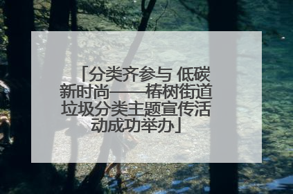 分类齐参与 低碳新时尚——椿树街道垃圾分类主题宣传活动成功举办