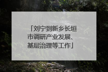 刘宁到新乡长垣市调研产业发展、基层治理等工作