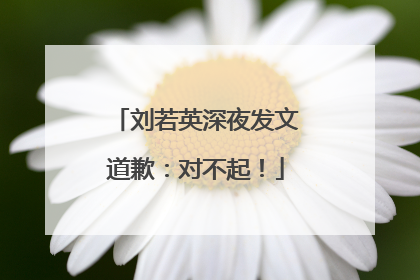刘若英深夜发文道歉：对不起！