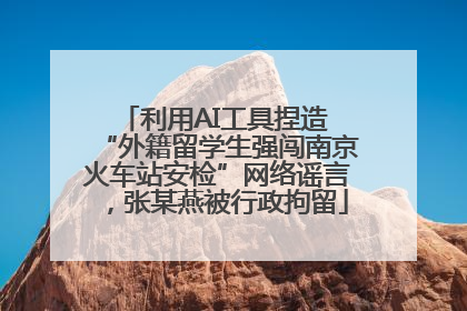 利用AI工具捏造 “外籍留学生强闯南京火车站安检”网络谣言，张某燕被行政拘留