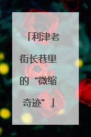 利津老街长巷里的“微缩奇迹”