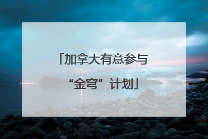 加拿大有意参与“金穹”计划