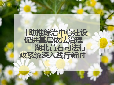 助推综治中心建设 促进基层依法治理——湖北黄石司法行政系统深入践行新时代枫桥经验