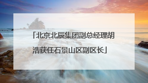 北京北辰集团副总经理胡浩获任石景山区副区长