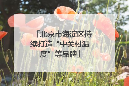 北京市海淀区持续打造“中关村温度”等品牌