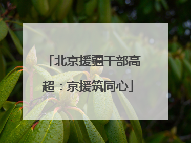 北京援疆干部高超：京援筑同心