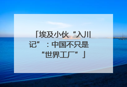 埃及小伙“入川记”：中国不只是“世界工厂”