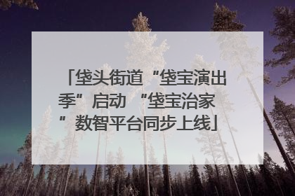 垡头街道“垡宝演出季”启动 “垡宝治家”数智平台同步上线