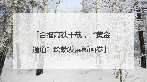合福高铁十载，“黄金通道”绘就发展新画卷