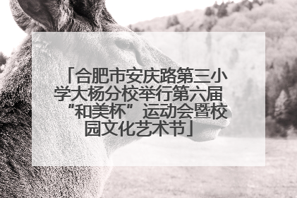 合肥市安庆路第三小学大杨分校举行第六届“和美杯”运动会暨校园文化艺术节