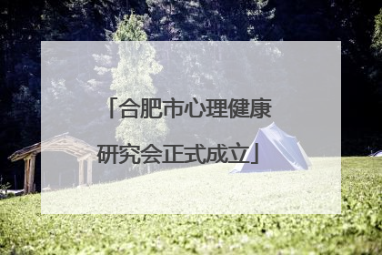 合肥市心理健康研究会正式成立