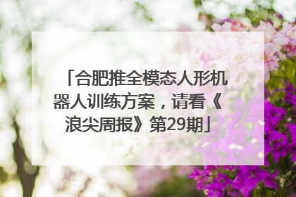 合肥推全模态人形机器人训练方案，请看《浪尖周报》第29期