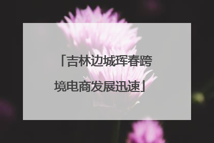 吉林边城珲春跨境电商发展迅速