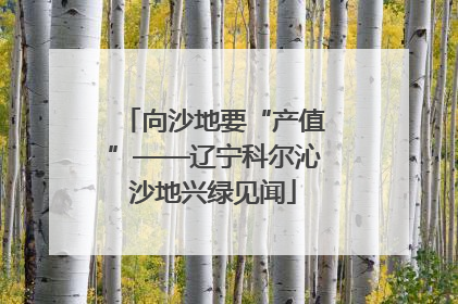 向沙地要“产值”——辽宁科尔沁沙地兴绿见闻