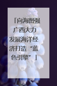 向海图强 广西大力发展海洋经济打造“蓝色引擎”