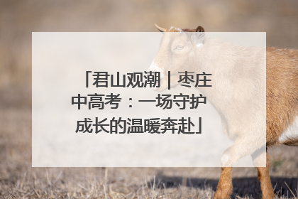 君山观潮｜枣庄中高考：一场守护成长的温暖奔赴