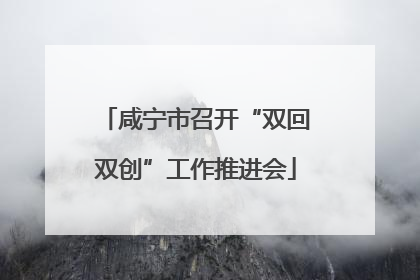 咸宁市召开“双回双创”工作推进会