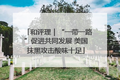 和评理｜“一带一路”促进共同发展 美国抹黑攻击酸味十足