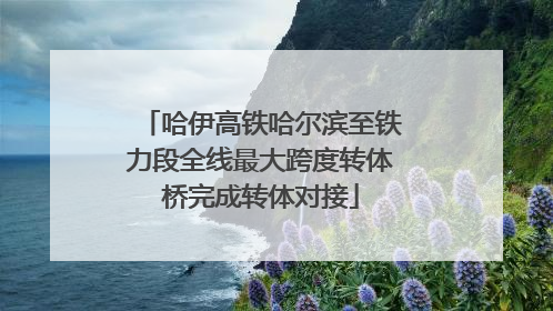 哈伊高铁哈尔滨至铁力段全线最大跨度转体桥完成转体对接