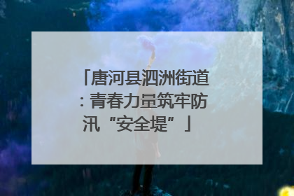 唐河县泗洲街道：青春力量筑牢防汛“安全堤”