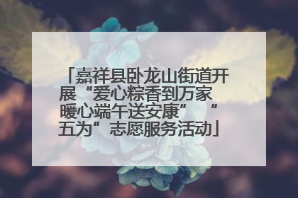 嘉祥县卧龙山街道开展“爱心粽香到万家 暖心端午送安康” “五为”志愿服务活动