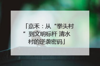 嘉禾：从“拳头村”到文明标杆 清水村的逆袭密码