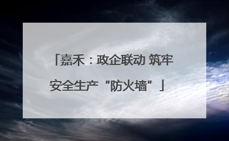 嘉禾：政企联动 筑牢安全生产“防火墙”