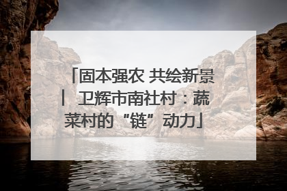 固本强农 共绘新景 ︳卫辉市南社村：蔬菜村的“链”动力